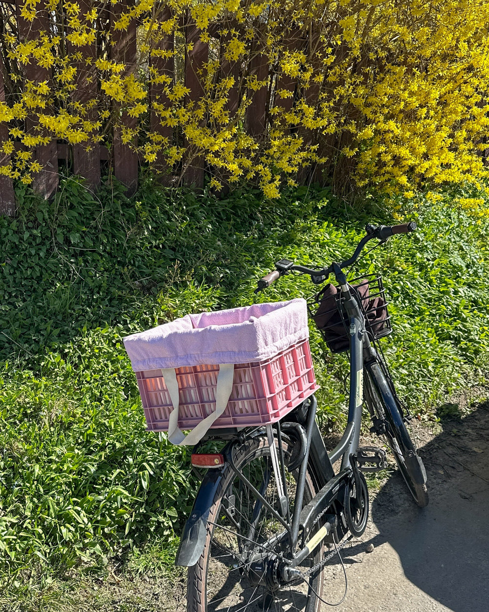 Symønster: Bike bag (XL tote)